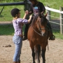 Marmon Valley Farm