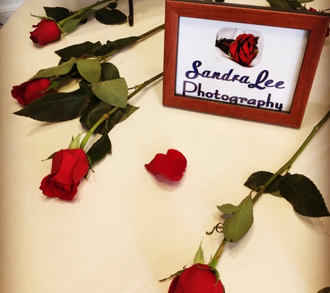 Sandra Lee Photography Studio & Gallery - Petoskey, MI