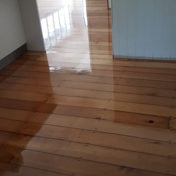 Gallery Image Number 5