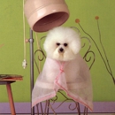 Dog Grooming Guru - Pet Grooming