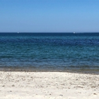 Sandy Neck Beach