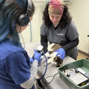 VCA Hawthorn Animal Hospital - Veterinarians