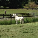 Chateau Rodeo - Horse Stables