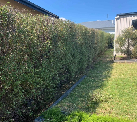 Roots 2 Leaves Tree Services Pty Ltd - Swan Reach, VIC