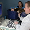 Brockton Animal Hospital - Veterinary Clinics & Hospitals