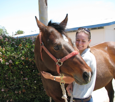 Balanced Horse Veterinary Service, PLLC - Redmond, WA