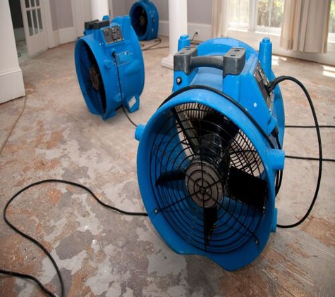 Affordable Mold Removal & Remodeling - Ponte Vedra Beach, FL