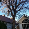 Fernridge Tree Service gallery