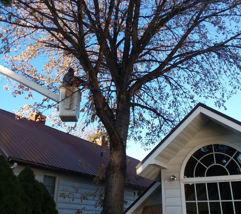 Fernridge Tree Service - Idaho Falls, ID