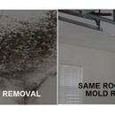 Spanos Environmental - Mold Remediation