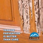 Pruitt Pest Management