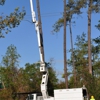 Gregalls Tree Service gallery