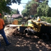 Steve's Stump Grinding gallery