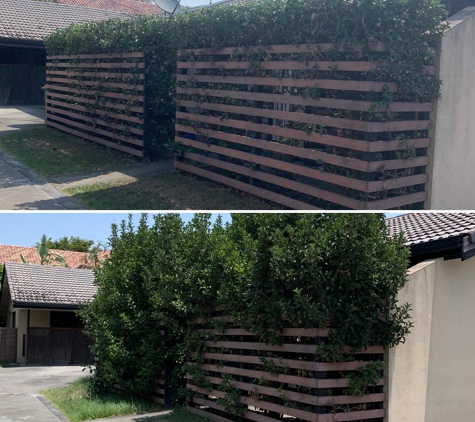 Pristine Acreage Mowing & Maintenance Pty Ltd - Burleigh Heads, QLD