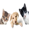 Companion Pet Clinic - Salmon Creek gallery