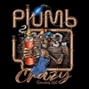 Plumb Crazy Services gallery