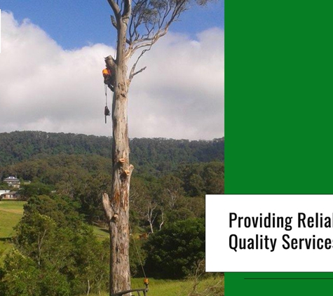 Tree Solutions - Rainbow Flat, NSW. Providing Reliable And Quality Services