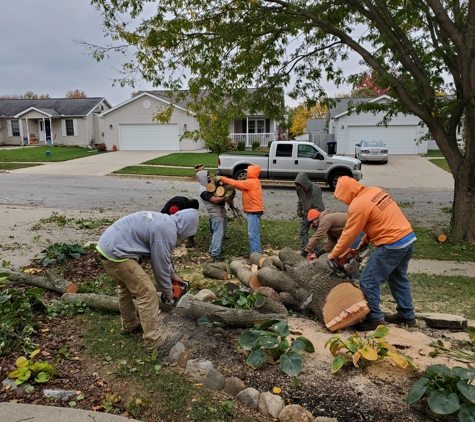 Embark Tree Removal - Bloomington, IL