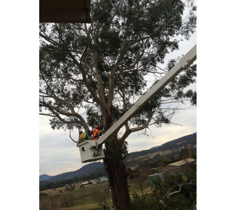 Hobart Tree Chipping & Recycling