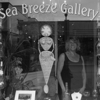 Sea Breeze Gallery gallery