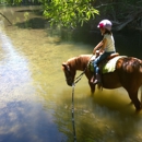 Horse Sense Education and Advocacy - Horse Training