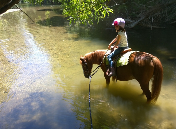 Horse Sense Education and Advocacy - Felton, CA