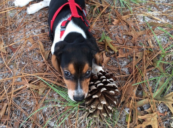 Ed Austin Regional Park - Jacksonville, FL