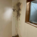 All Dry Services Twin Cities - Mold Remediation