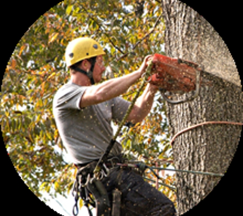 Apple Tree Service Inc. - Glenside, PA