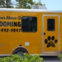 Paws Above Mobile Pet Grooming