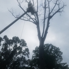 Rydar Tree Service