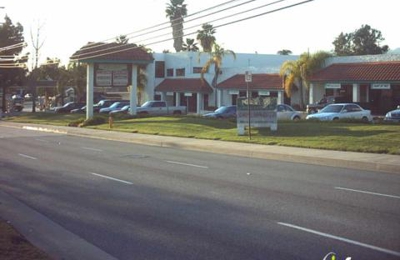 Termites Control In Glendora Ca - Termites Info