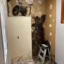 Quest Mold and Asbestos Inspections and Testing Corp. - Mold Testing & Consulting