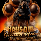 Haus Des Großen Pfoten Rottweilers