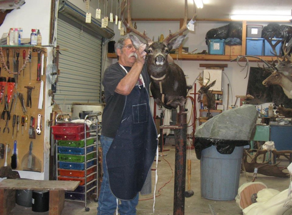 Longo's Taxidermy - Anderson, CA