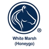 The Goddard School of White Marsh - Honeygo gallery