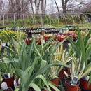 Ladd's Garden Center - Garden Centers