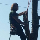 Cherokee Arborcare - Tree Service