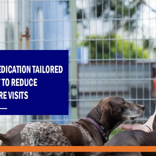 My Vets Thornton - Thornton, NSW. Fear free medication tailored for your pet to reduce stress before visits.