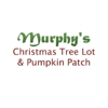 Murphy's Christmas Tree Lot & Pumpkin Patch gallery