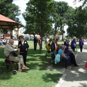 Gallery Image Number 5