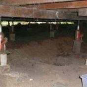 Gallery Image Number 6