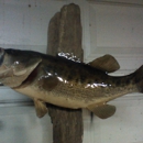 H & B TAXIDERMY - Taxidermists