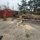 Local Land Clearing
