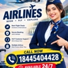 American Airlines gallery