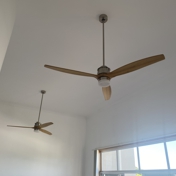 Gallery Image Number 5