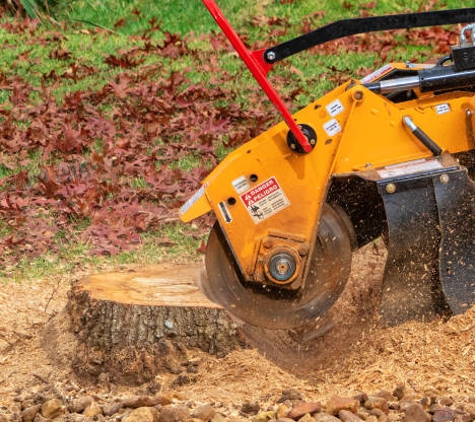 Sanchez Brothers Tree Service - Visalia, CA