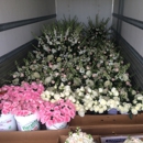 Spedale's Florist and Wholesale - Wholesale Florists