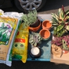 Green Thumb Nursery gallery