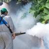 Rooted Pest Control gallery